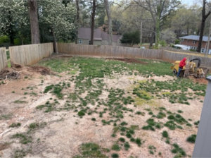 before lawn sod image