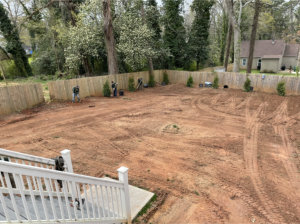 during lawn sod image