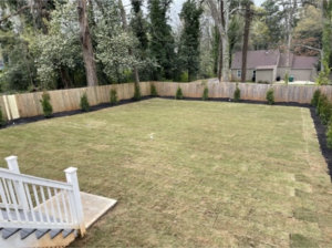 after lawn sod image