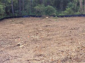 after clearing image