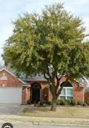 before trimming image