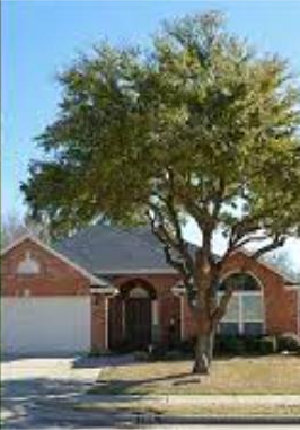 after trimming image