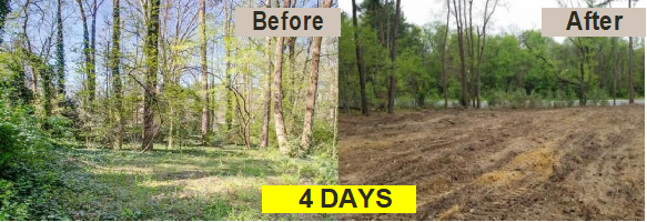 4 days before and after