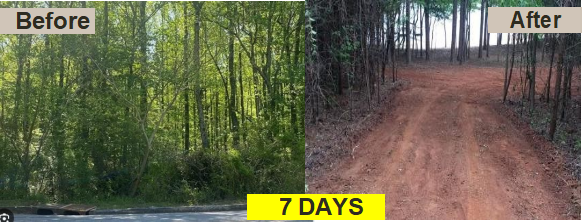 7 days before and after