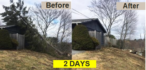 2 days before and after