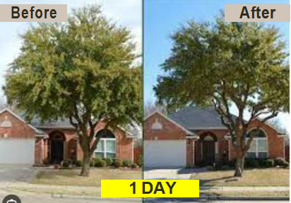 1 day before and after