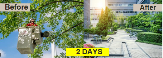 2 days before and after